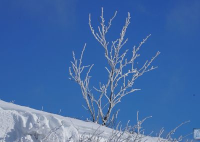 Winterzauber auf der Wasserkuppe