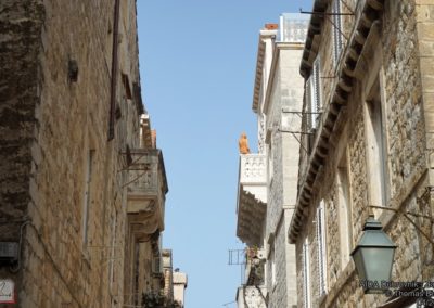 AIDA_Dubrovnik_Zadar_018