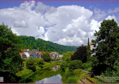 Glasmuseum Wertheim 036