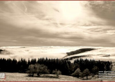 Novembernebel Wasserkuppe 010