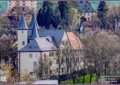 Lohr_Schloss_030